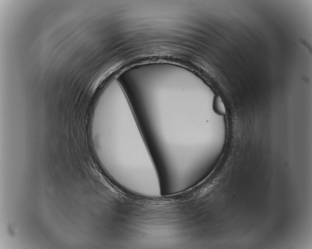 X0000102510826200808081005