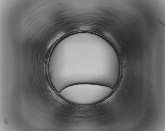 X0000102510827200808081005