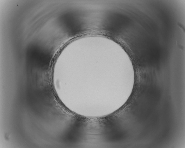 X0000102510828200808081005