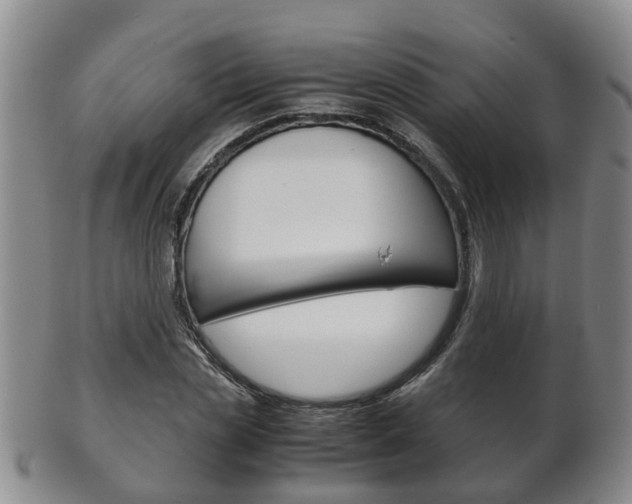 X0000102510829200808081005
