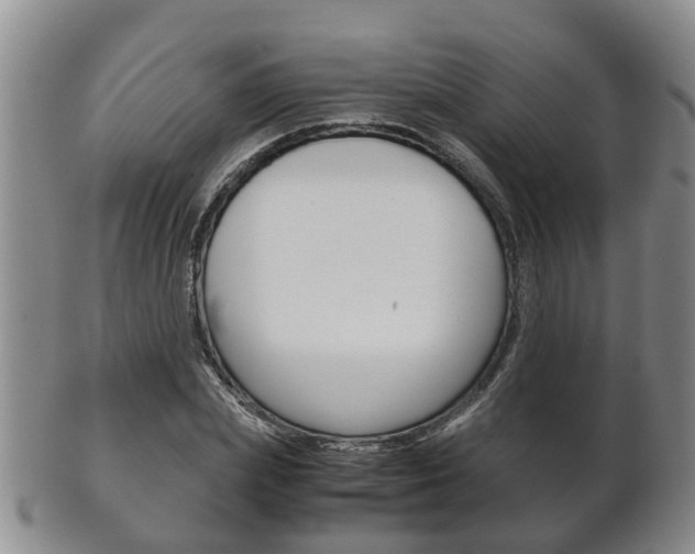X0000102510831200808081005