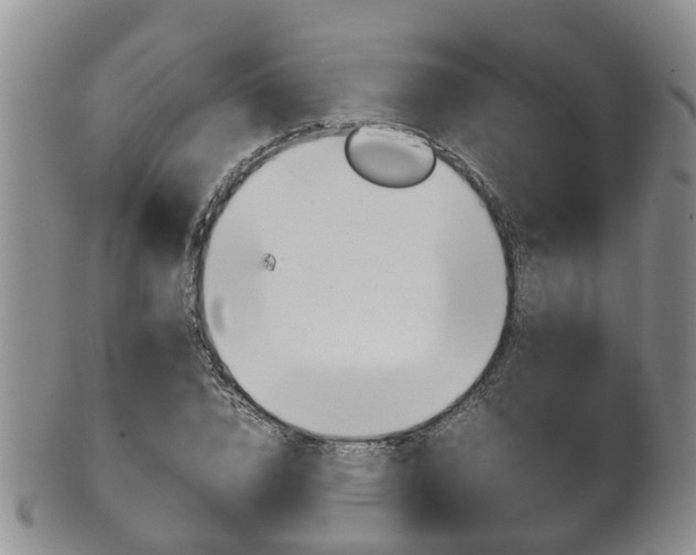X0000102510832200808081005
