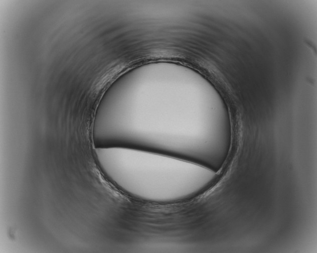 X0000102510833200808081005