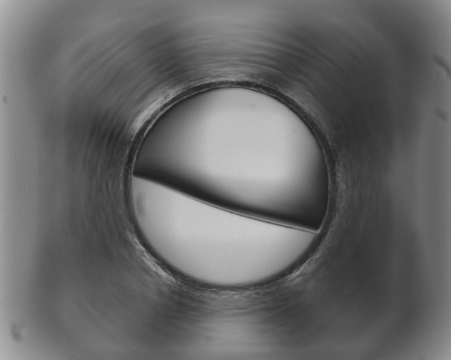X0000102510834200808081005