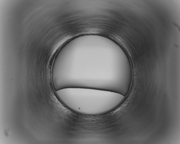 X0000102510835200808081005