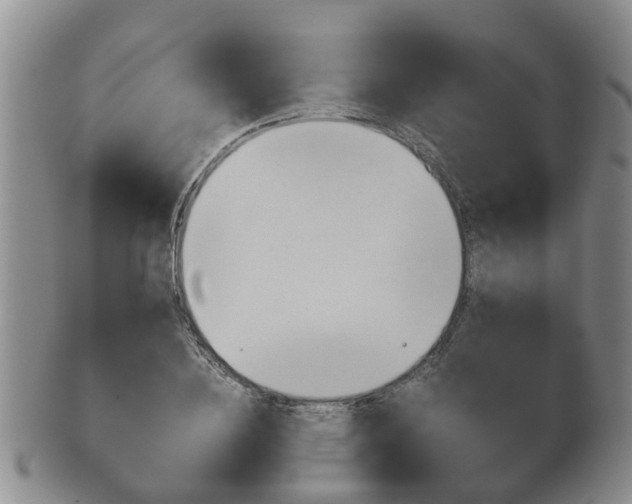 X0000102510836200808081005