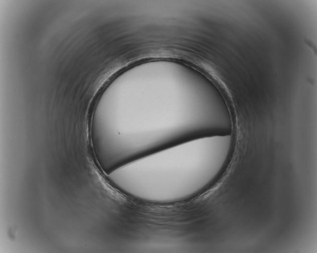 X0000102510837200808081005