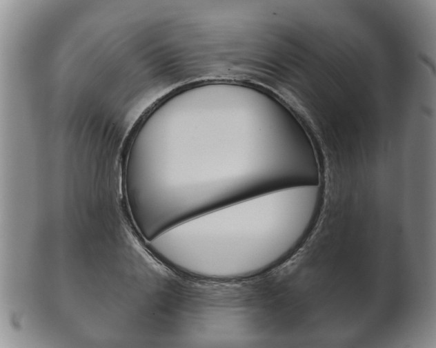 X0000102510838200808081005