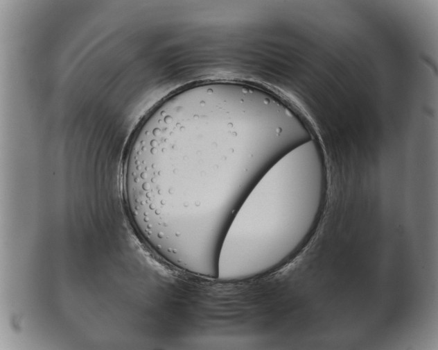 X0000102510839200808081005