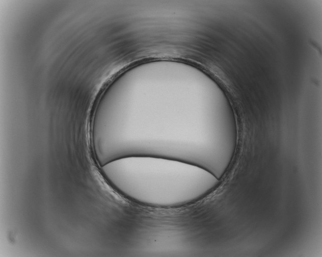 X0000102510840200808081005