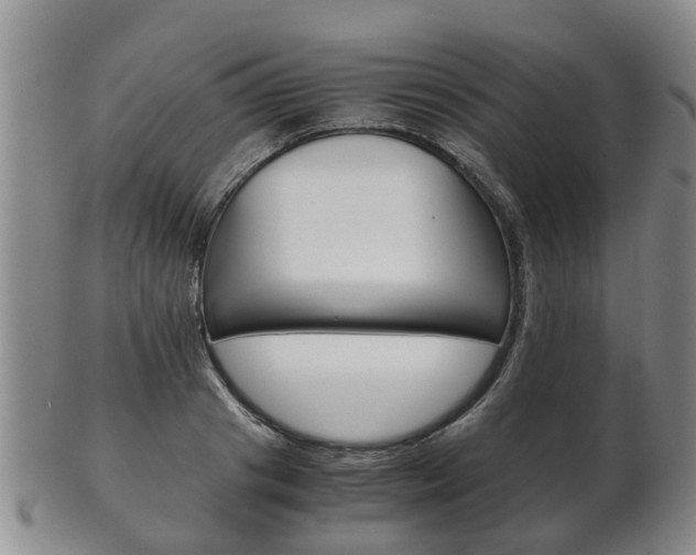 X0000102510841200808081005