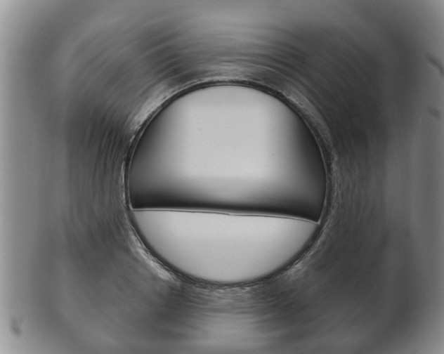 X0000102510842200808081005
