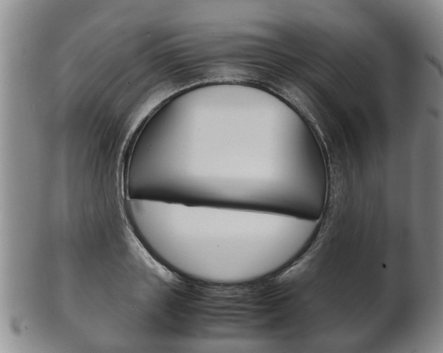 X0000102510843200808081005