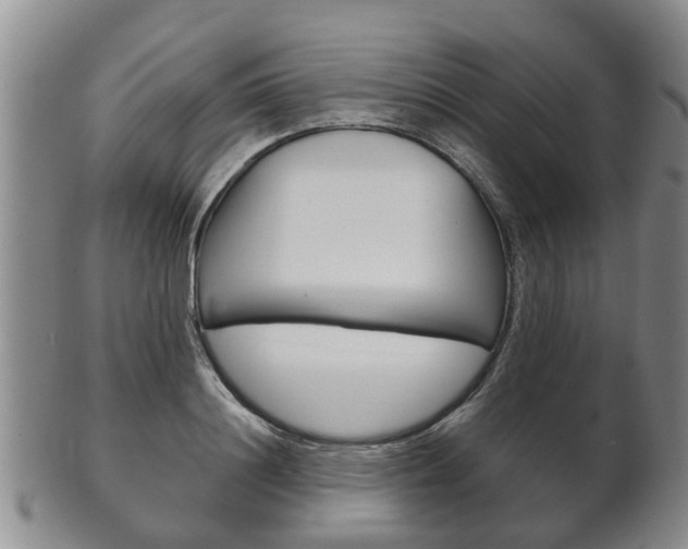 X0000102510844200808081005