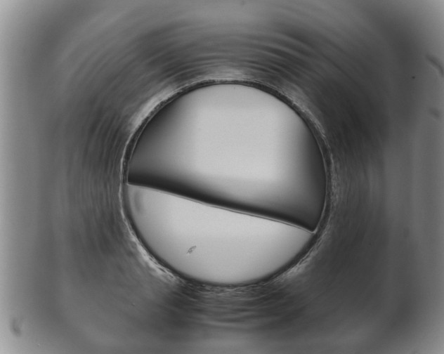 X0000102510845200808081005