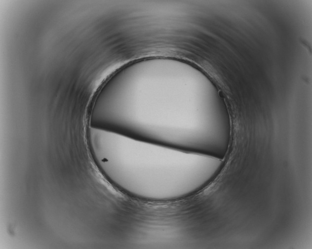 X0000102510846200808081005