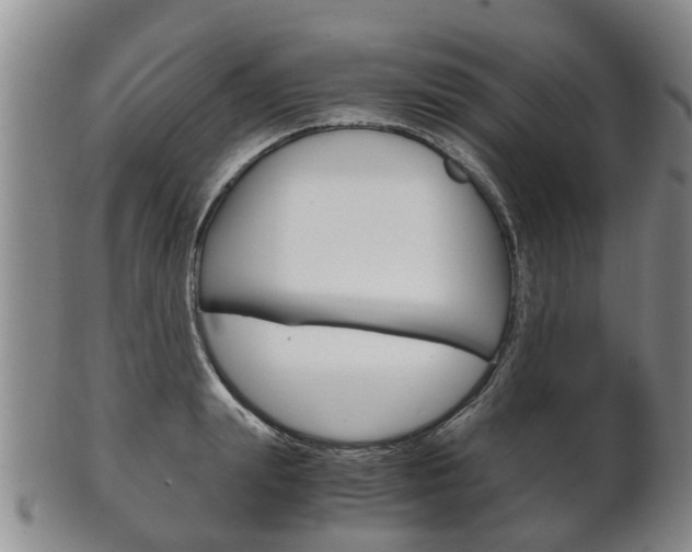 X0000102510847200808081005