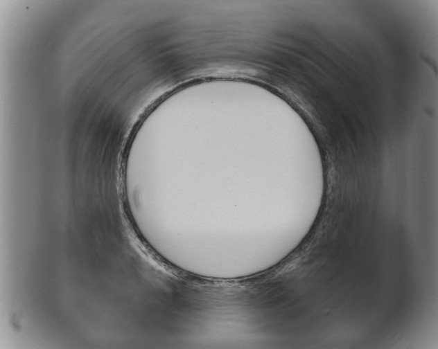 X0000102510848200808081005