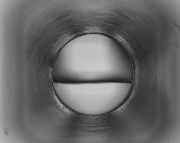 X0000102510849200808081005