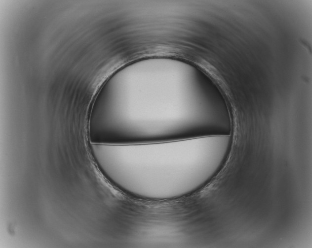 X0000102510850200808081005