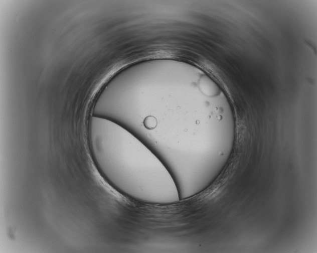 X0000102510851200808081005