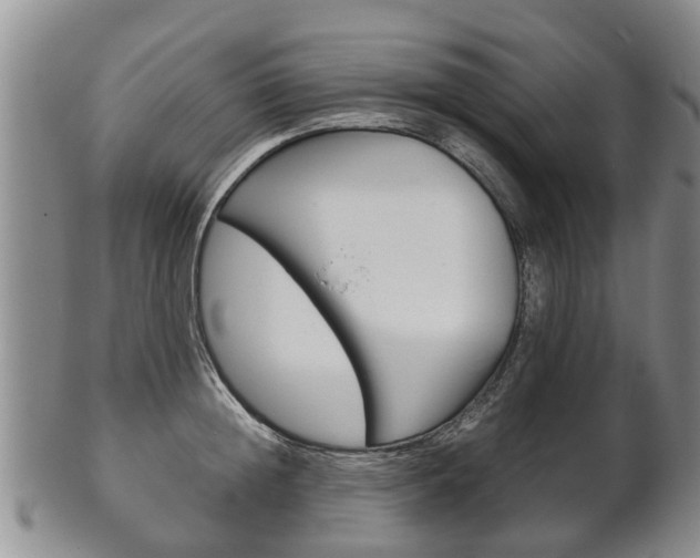X0000102510852200808081005
