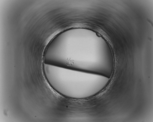 X0000102510853200808081005
