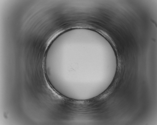 X0000102510855200808081005