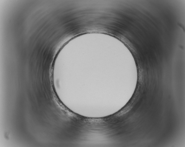 X0000102510856200808081005