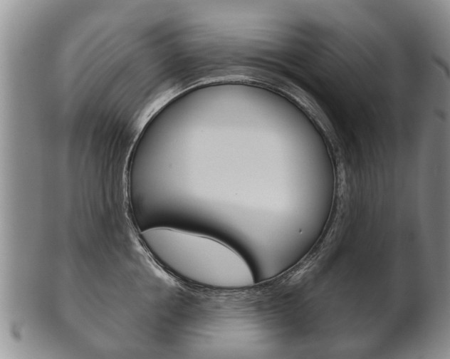 X0000102510858200808081005
