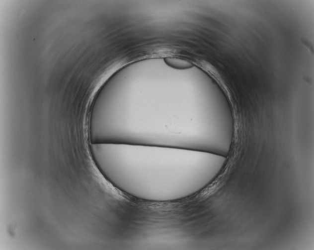 X0000102510859200808081005