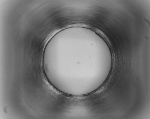X0000102510860200808081005