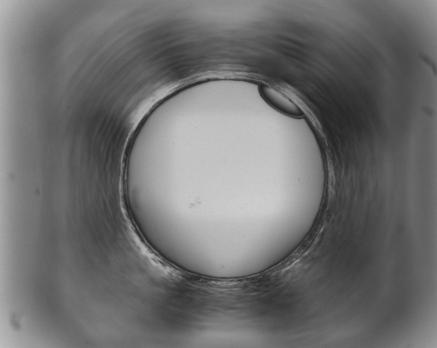 X0000102510861200808081005