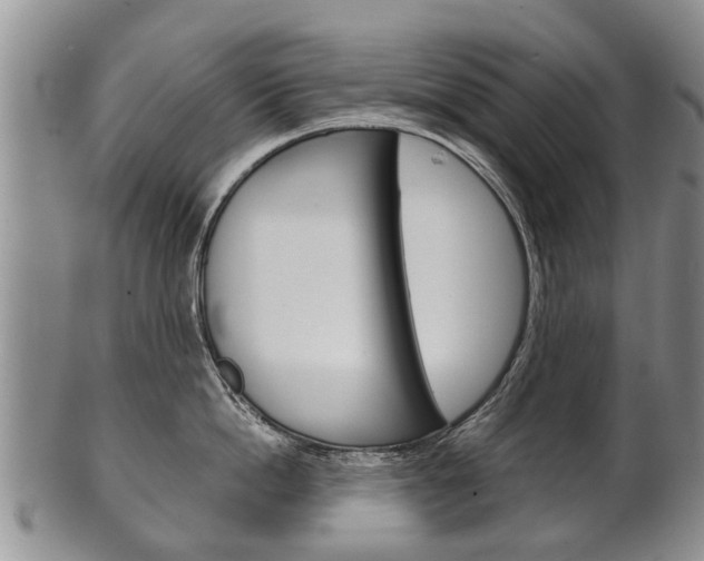 X0000102510862200808081005