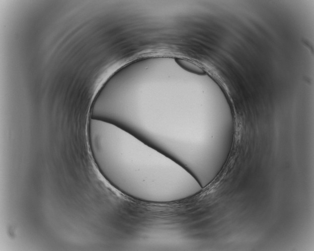 X0000102510863200808081005
