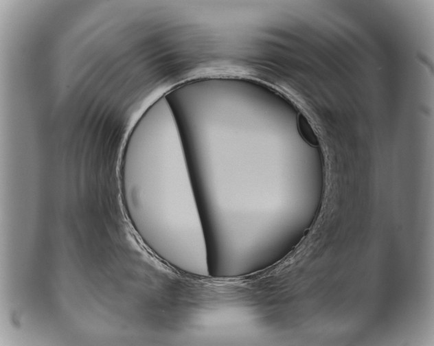 X0000102510864200808081005