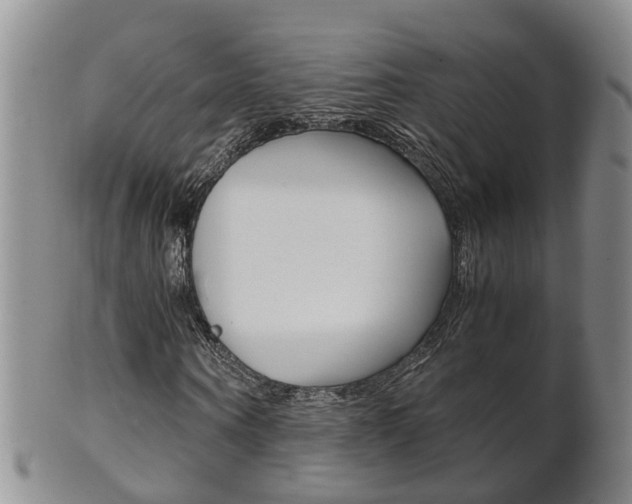 X0000102510866200808081005
