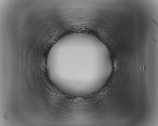 X0000102510867200808081005