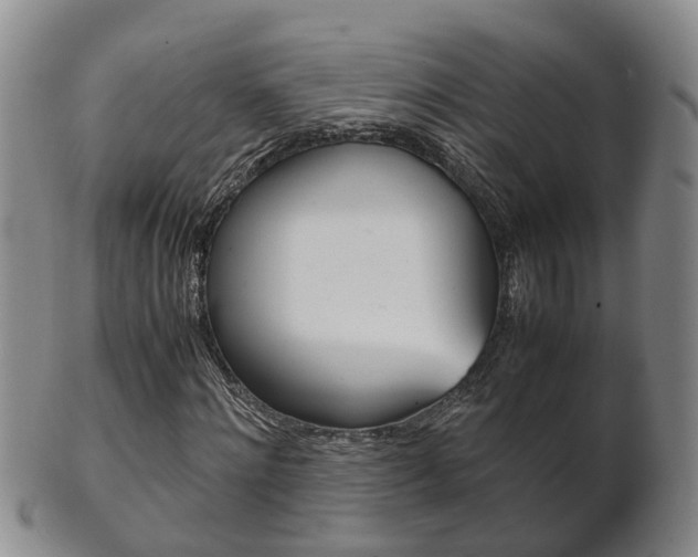 X0000102510868200808081005