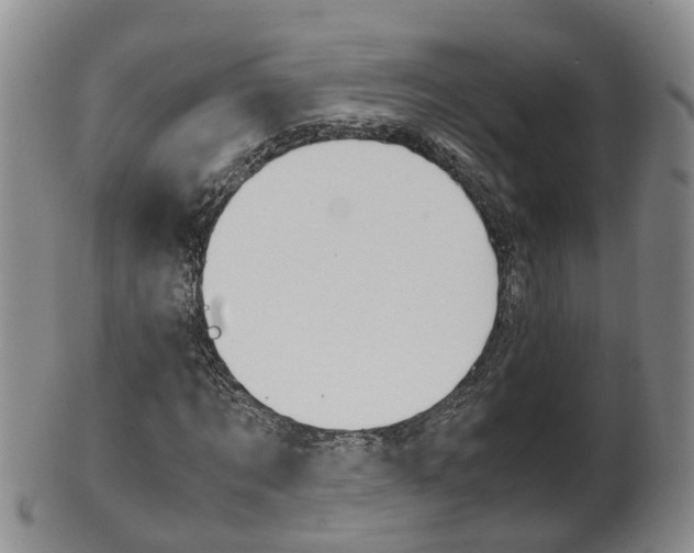 X0000102510869200808081005
