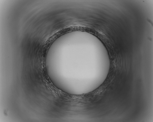 X0000102510870200808081005