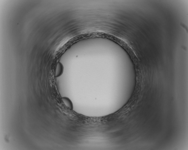 X0000102510871200808081005