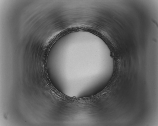 X0000102510872200808081005