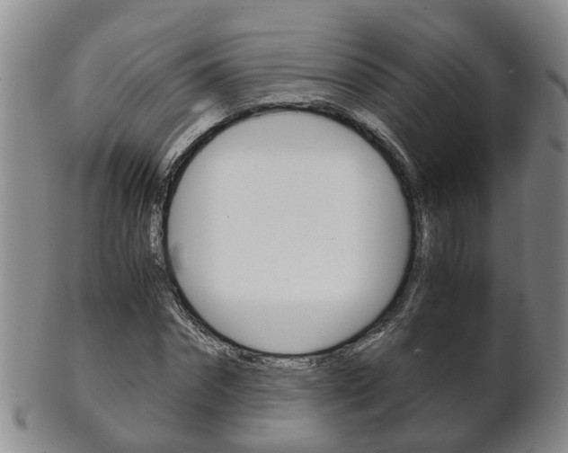 X0000102510874200808081005