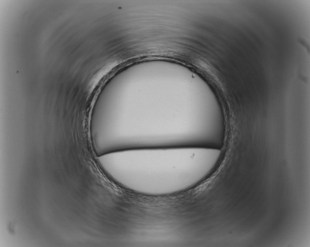 X0000102510875200808081005