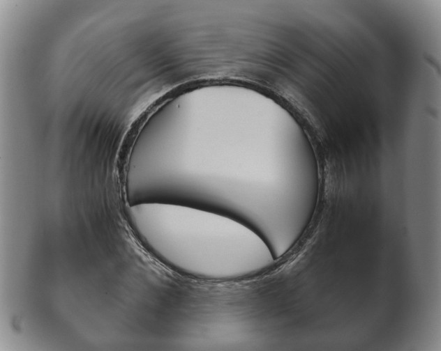 X0000102510876200808081005