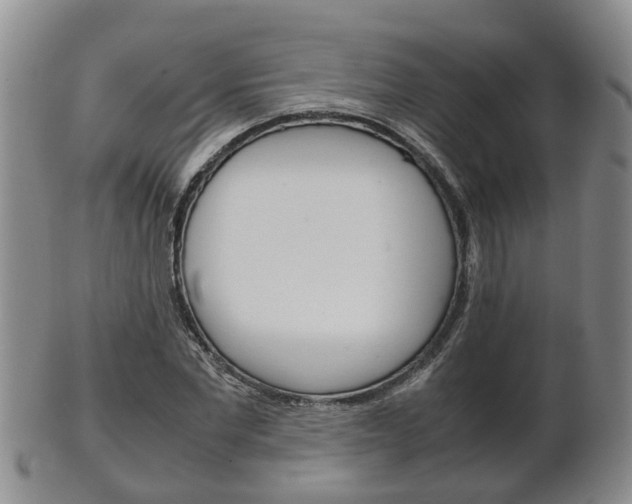 X0000102510877200808081005