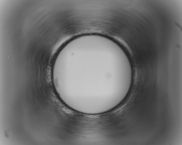 X0000102510878200808081005
