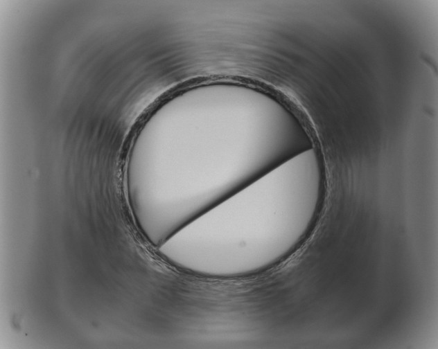 X0000102510879200808081004