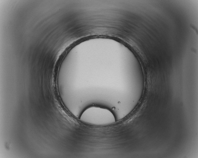 X0000102510880200808081004